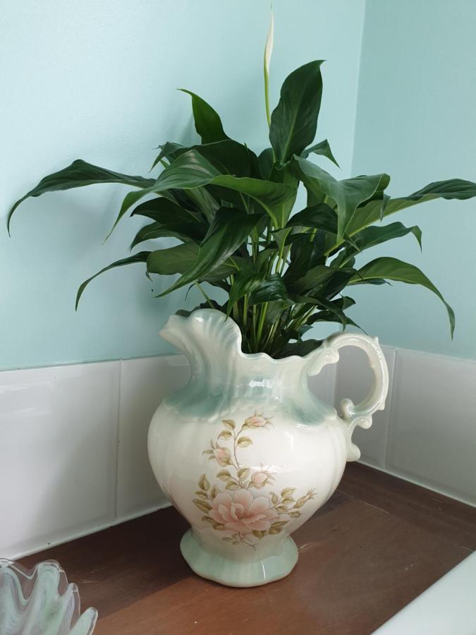 Rosebank Guesthouse Healesville Luaran gambar